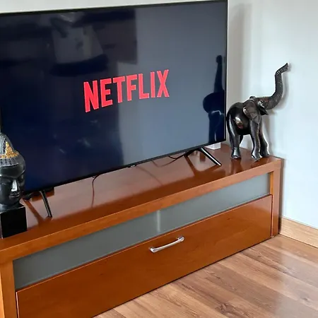 Апартаменты Duplex